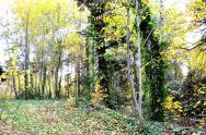 Neupetershain (24).JPG