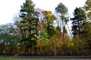 Neupetershain (14).JPG