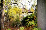 Neupetershain (26).JPG